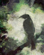 Crow