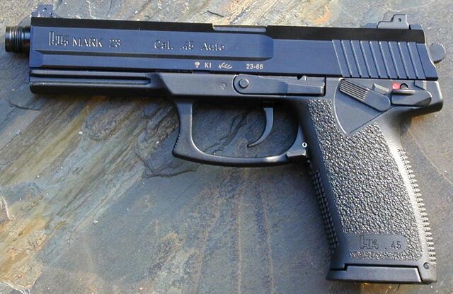 File:Gun1.jpg