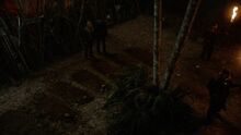 The100110 1391.jpg