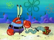 Krabs&Doodles