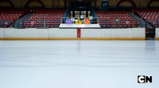 IceRink