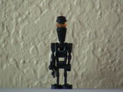 IMG 0956