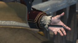 Pic1.png