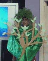 EddieTree