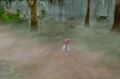 Thumbnail for version as of 12:18, February 13, 2011