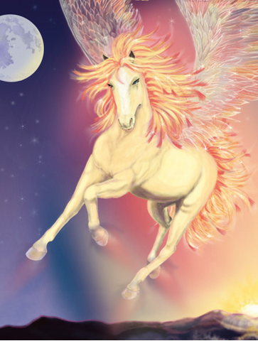 File:Picture 206.png