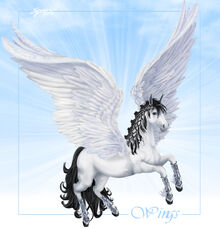 Bella-sara-wings