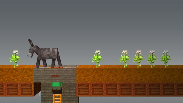 File:Donkey and carrots.jpg