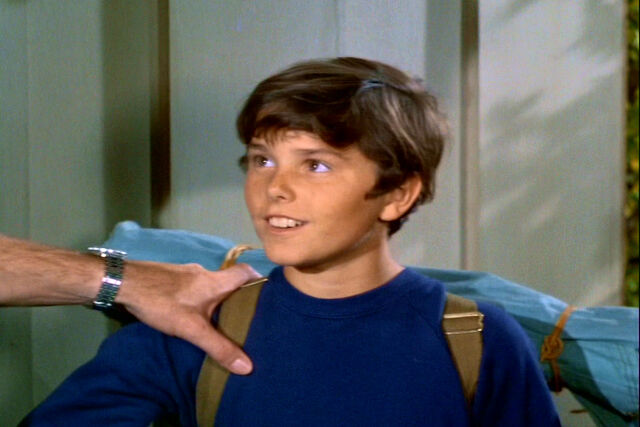 File:Peter-Brady-the-brady-bunch-10937513-720-480.jpg