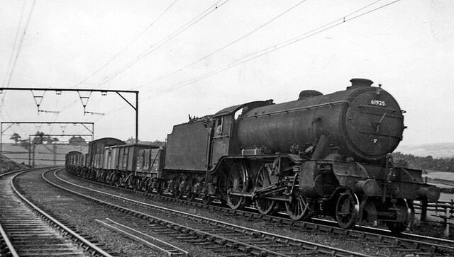 File:Charlotte'sBasis.jpg