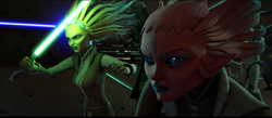 Tiplee-Tiplar-TCW