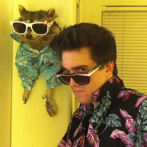 File:Raccoon.jpg