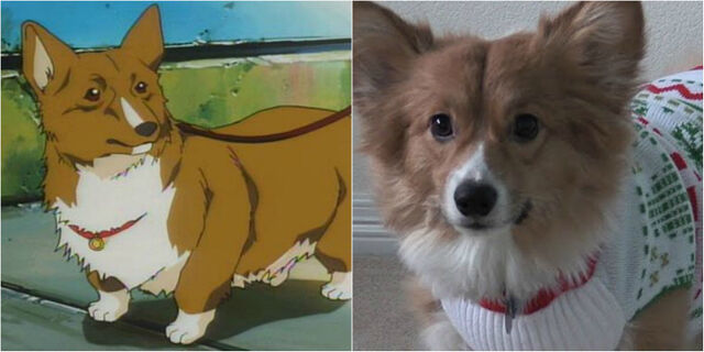 File:Ein and ein.jpg