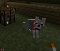 MC-Cujo