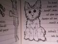 Thumbnail for version as of 05:55, August 4, 2012