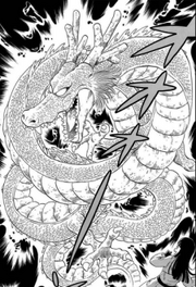 225px-ShenlongManga