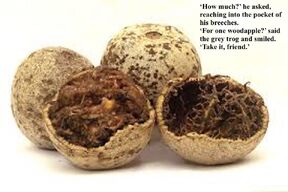 Woodapple