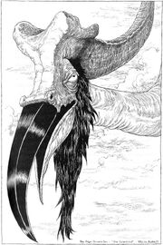 Oiseauveille copy