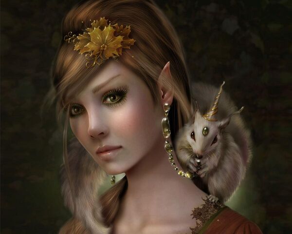 File:ElfQueenRPG.jpg