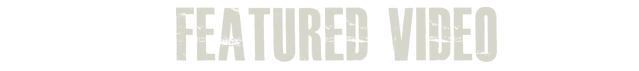 File:Fadesvideo.png