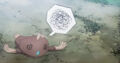 Thumbnail for version as of 01:45, April 8, 2011