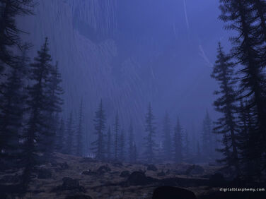 Raining in Rain Forest