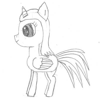 Pony 001