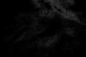 The void
