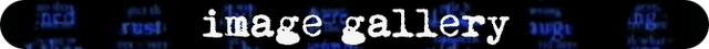 File:The following wiki image-gallery-left-header.png