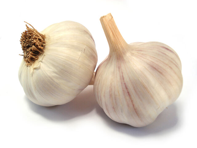 File:Garlic-06.jpg