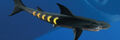 Thumbnail for version as of 14:53, September 11, 2011