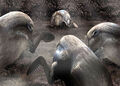 Thumbnail for version as of 14:58, September 11, 2011