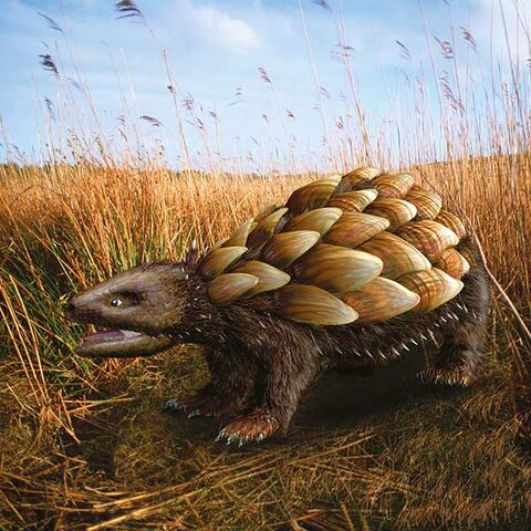 File:5m-rattleback-600px.jpg