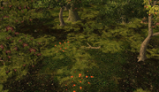 Willow tree