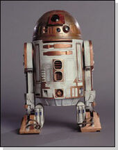 Alex's copper red R2-M7