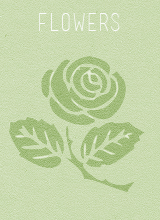 File:7.jpg