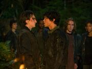Murphy-Vs-Bellamy