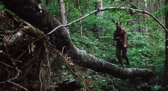Katniss cazando en el bosque