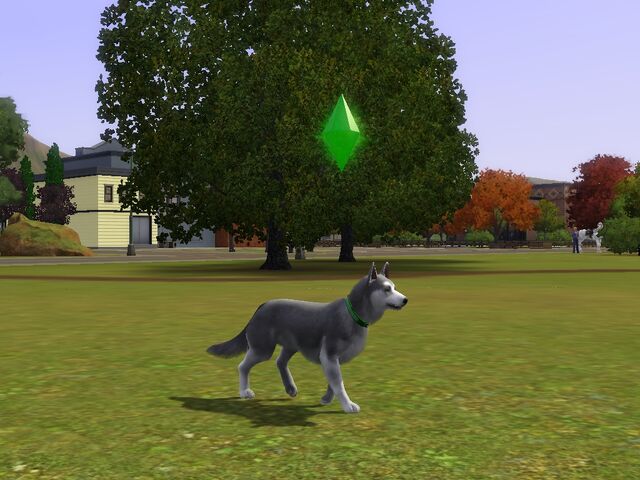 File:Screenshot-50.jpg