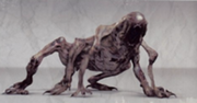 210px-Ursa design