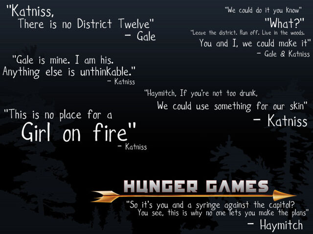 File:TheHungerGamesthehungergametrilogy262499712809602 0.jpg