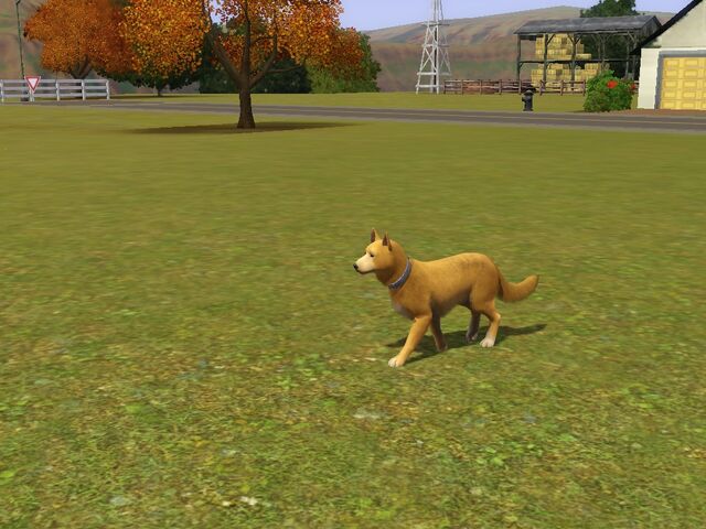 File:Screenshot-56.jpg