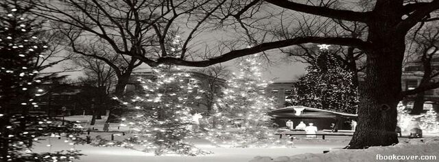 File:Cartoon-love-christmas-in-the-park-facebook-cover-hits-69030.jpg