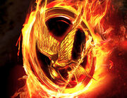 The-Hunger-Games-5-Facts-Movie-Books