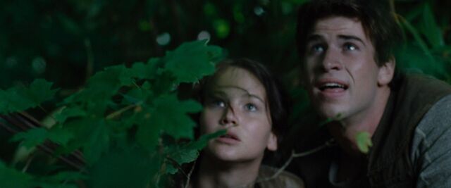 File:Hungergames 00161.jpg