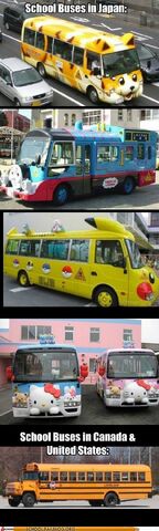 File:Bus.jpg