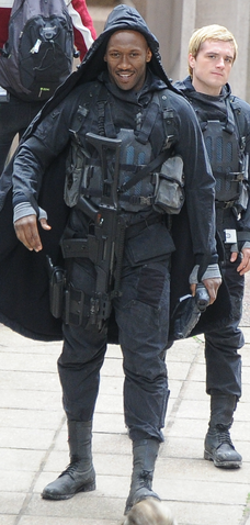 Archivo:Boggs.png