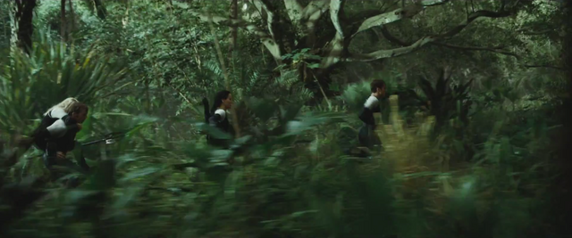 File:Fleeing from fog.png