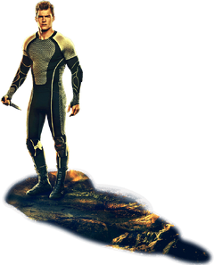 Gloss Banner.png