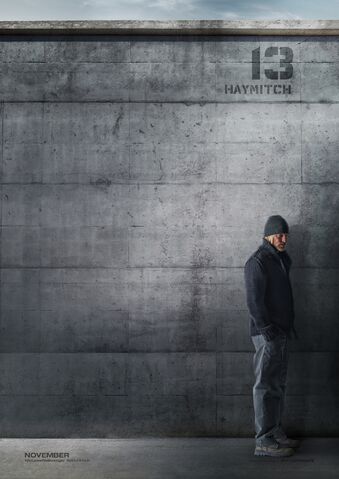 File:Haymitch character poster.jpeg